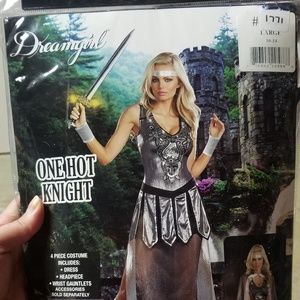 Womans Knight costume